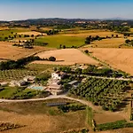 Colle Oliveto